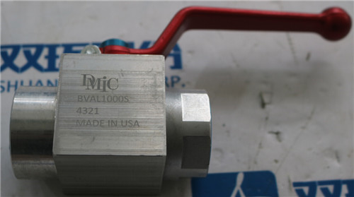 美国DMIC 吸入球阀BVAL-1000S-4321