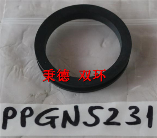 Compass Water Solutions 密封环 PPGN5231