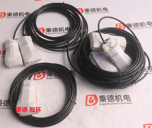 KLAY-INSTRUMENTS液位传感器Cable12-FR-G10-G104