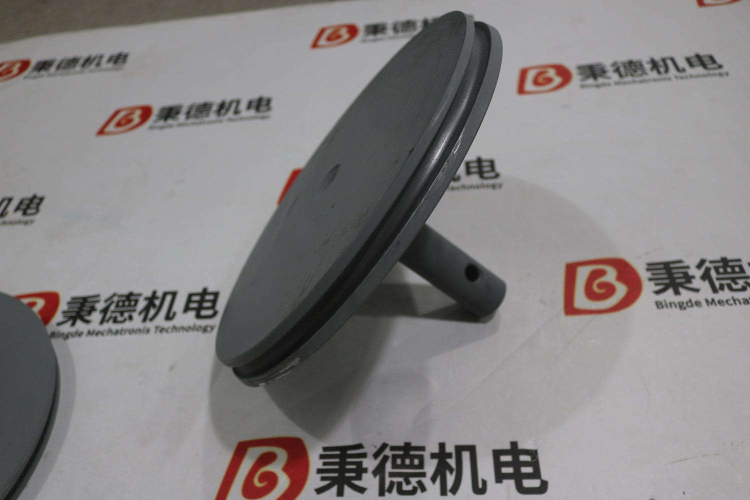 KENSON盘柱塞组件 (1).jpg