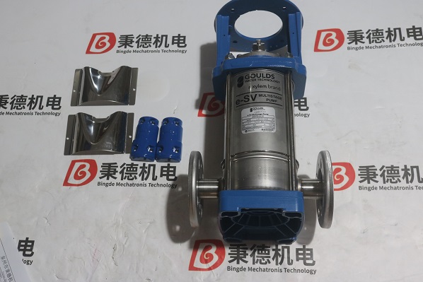GOULDS泵 3SV9NA30 (2).jpg
